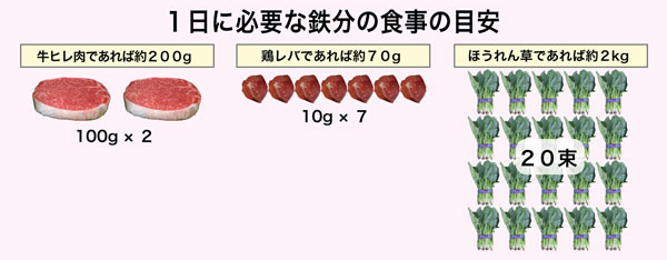 １日に必要な鉄分の食事の目安