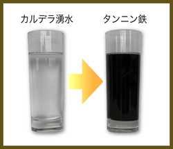 タンニン鉄